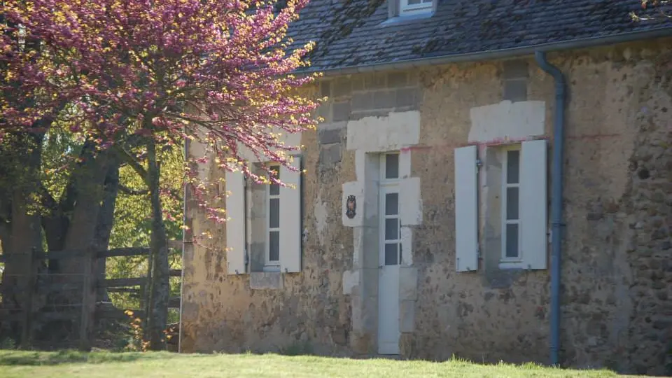 10329312_556266201182776_6460033947411055602_n