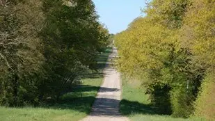 11073561_556266197849443_8950955818957402733_n