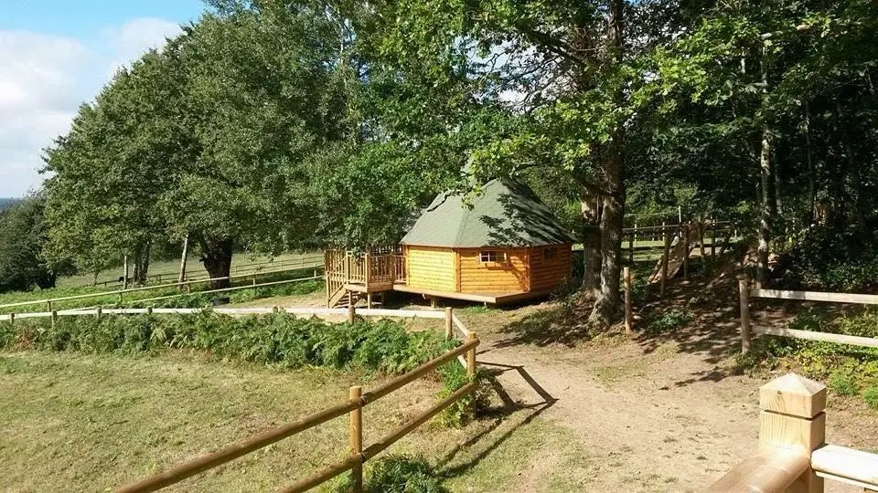 15032847_368371113502256_2716138748964353091_n