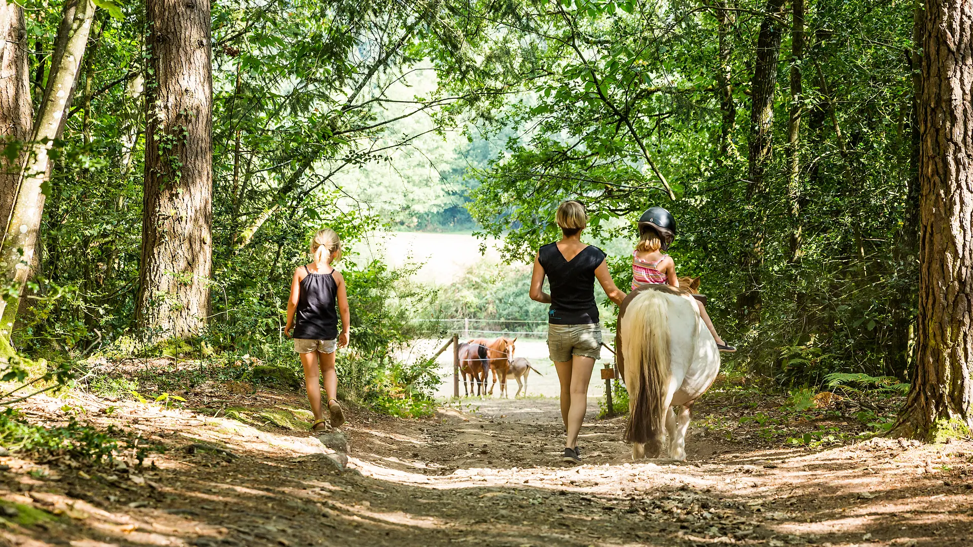 Activités sur le site d'avril à octobre week-end et vacances