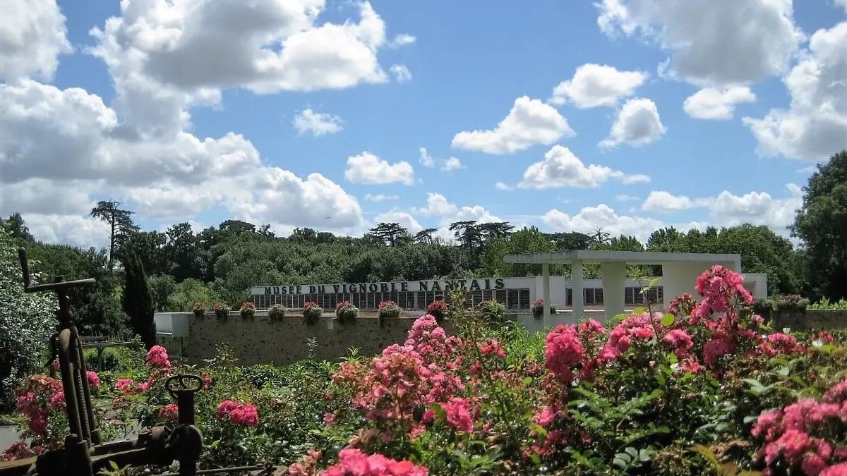 84137 - Musée du Vignoble Nantais