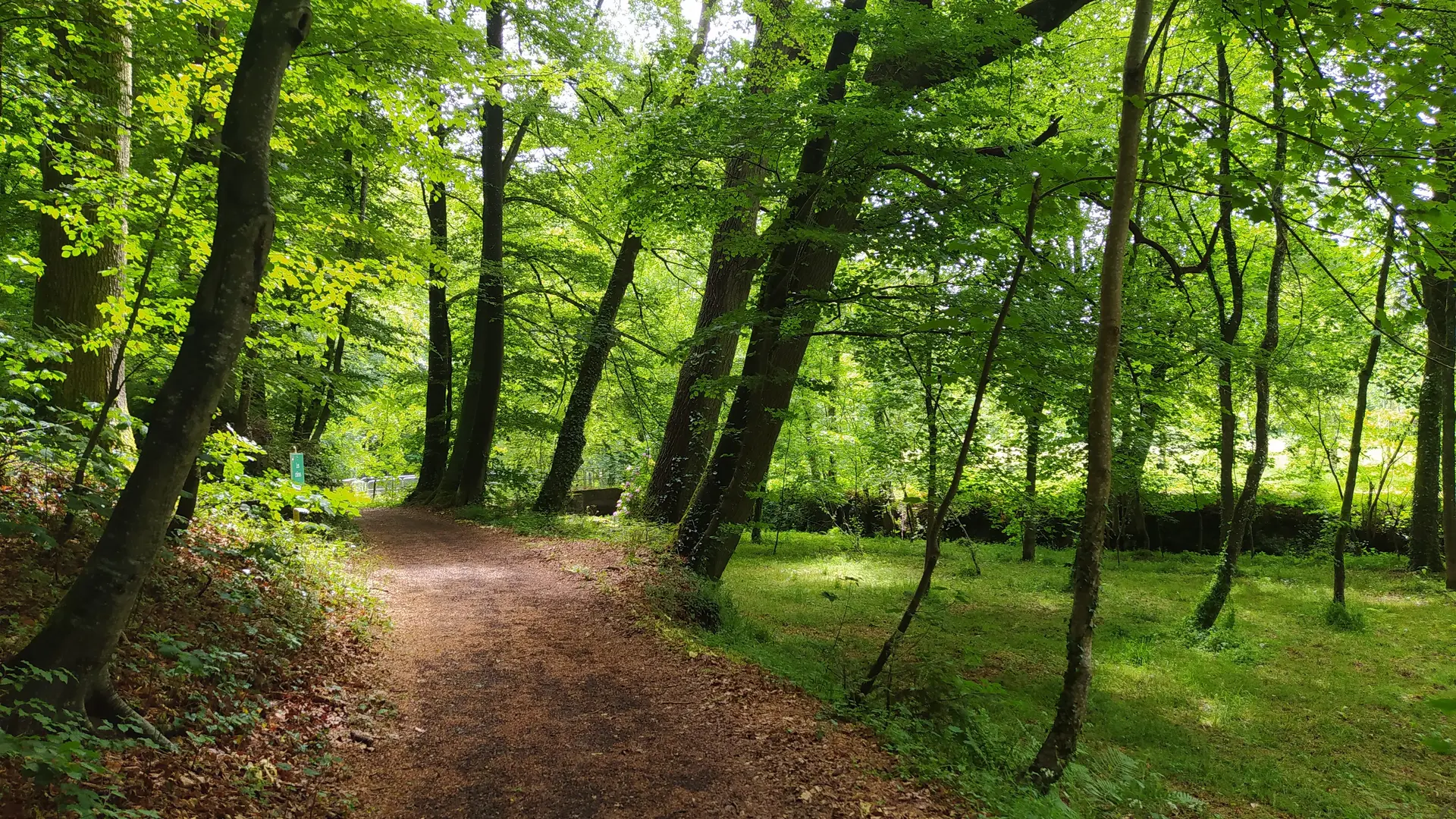 Pontmain - Arboretum