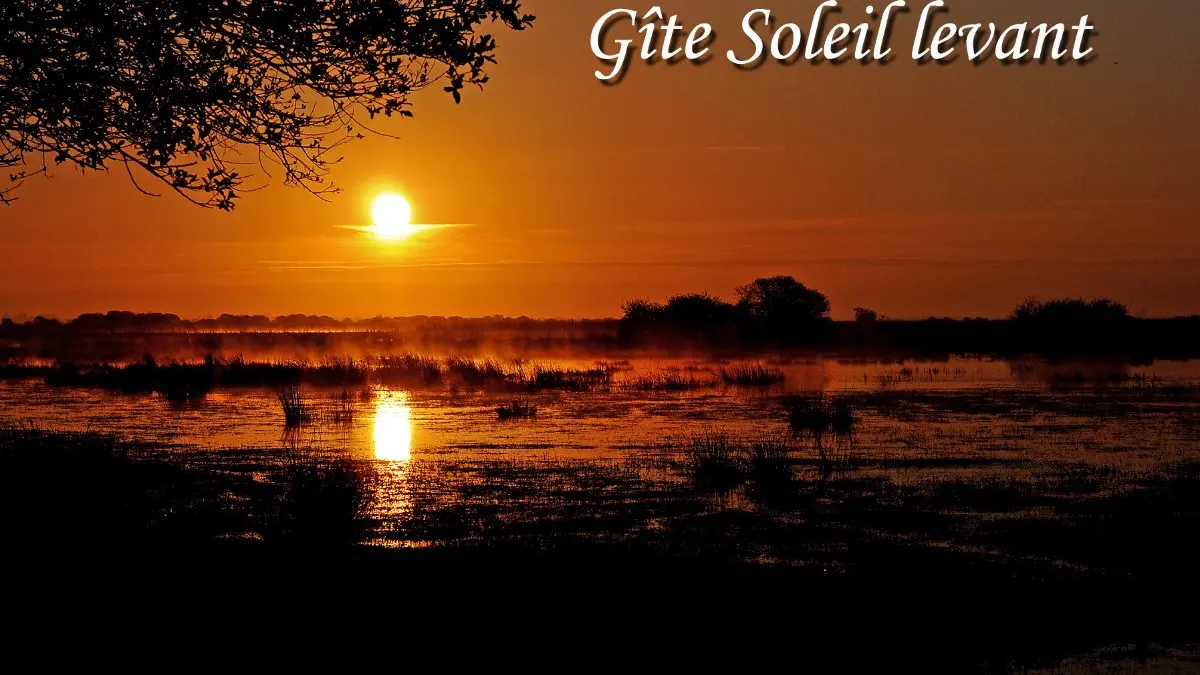 201278 - Gîte Soleil levant