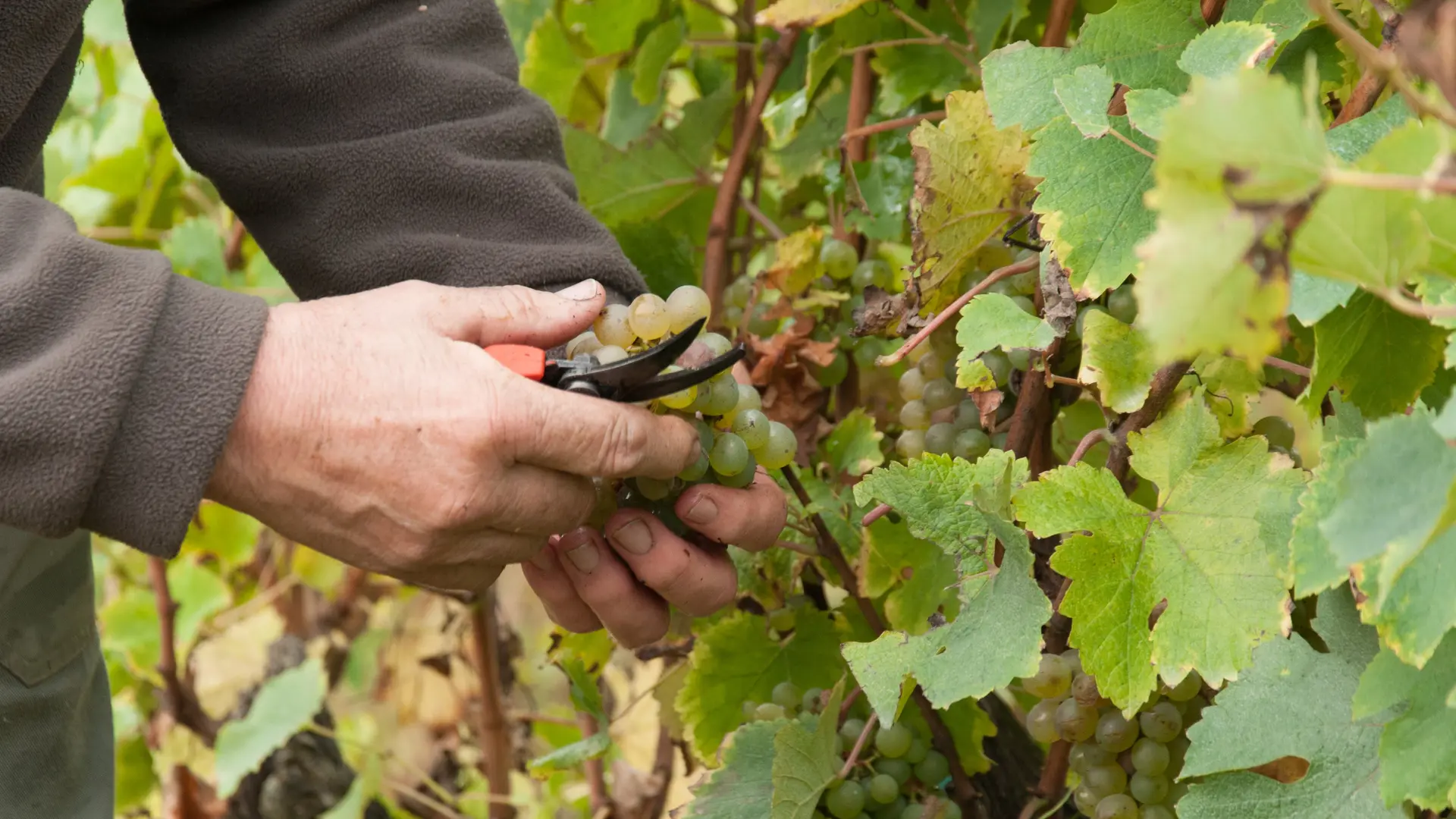 Randonnée pédestre. Marçon