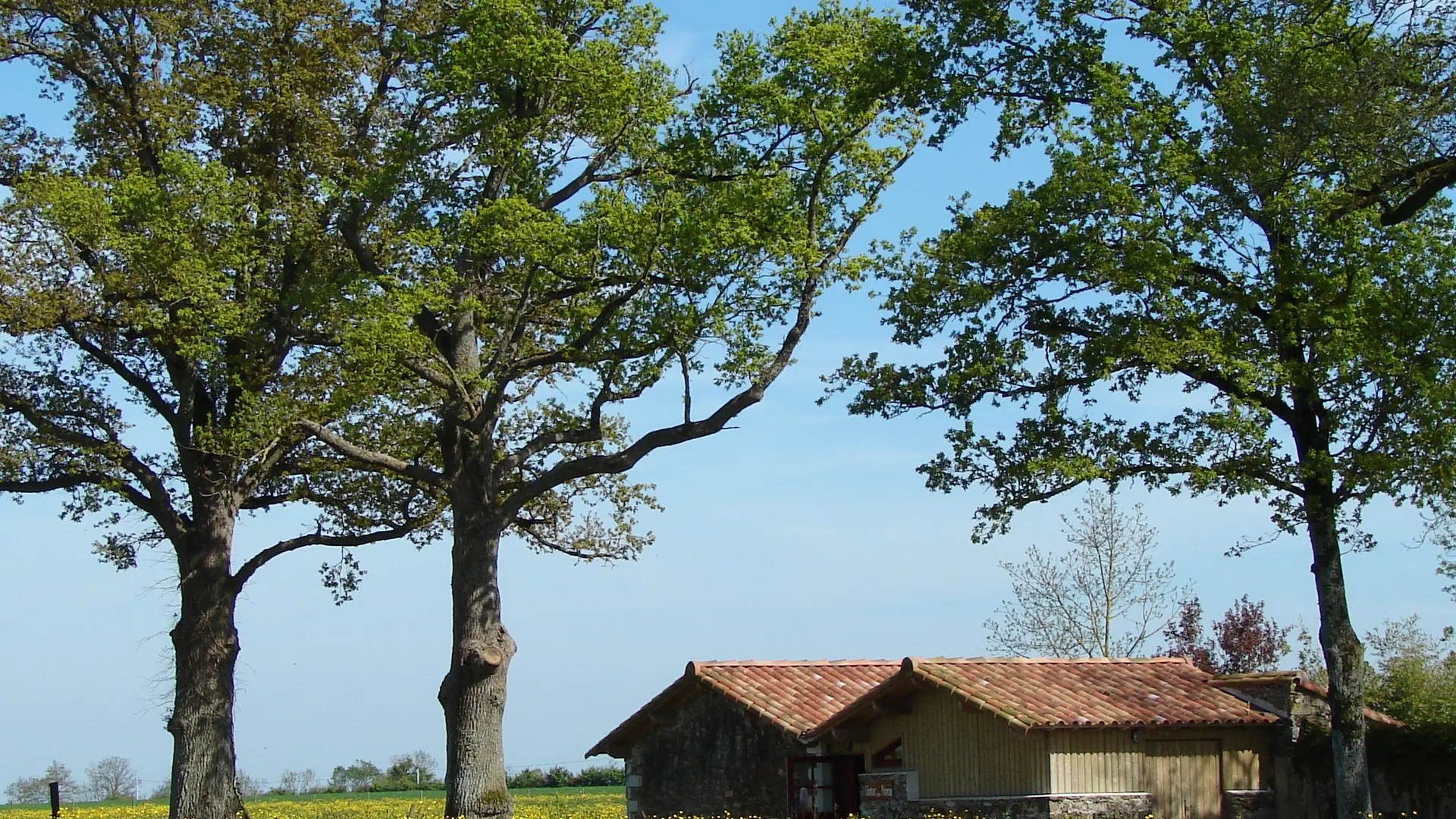 Gîte de la Bergerie : Colombier de Philomène (3p) depuis le labyrinthe papillons