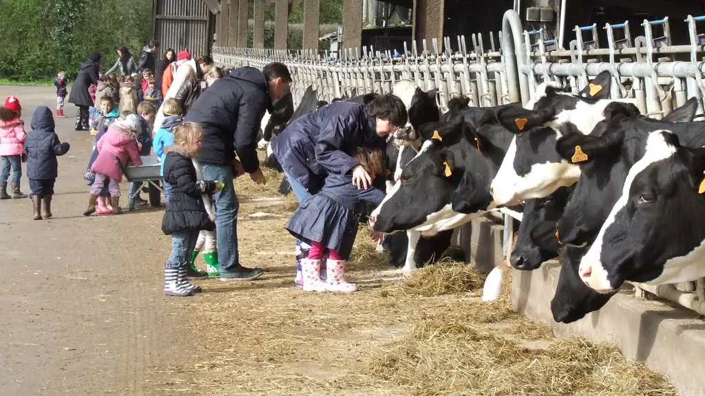 2014-activiteloisirs-fermelapequinire-laboissieredudore-44- (2)