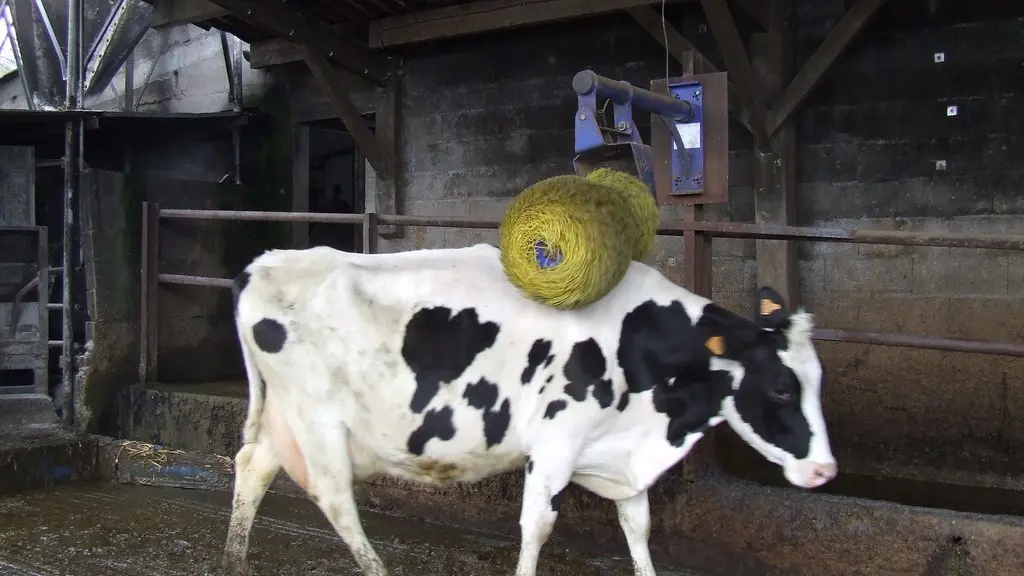 2014-activiteloisirs-fermelapequinire-laboissieredudore-44-