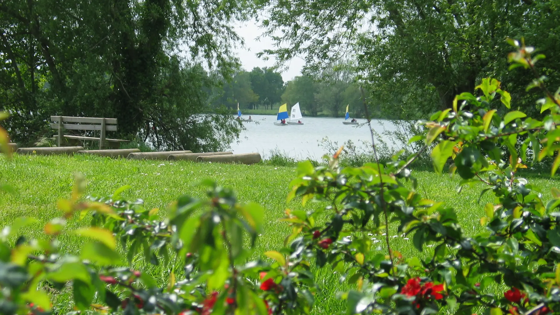 2015-Plan-deau-du-Chêne-Saint-Julien-de-Concelles-44-LOI