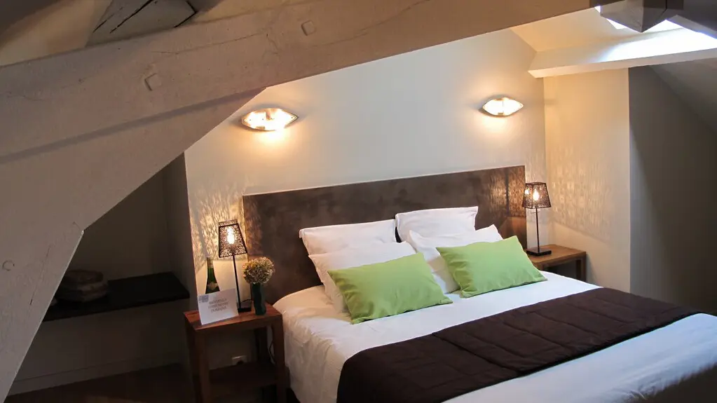 2015-chambres-hotes-galissonniere_lepallet_-HLO-Chambre Arbre de Judée