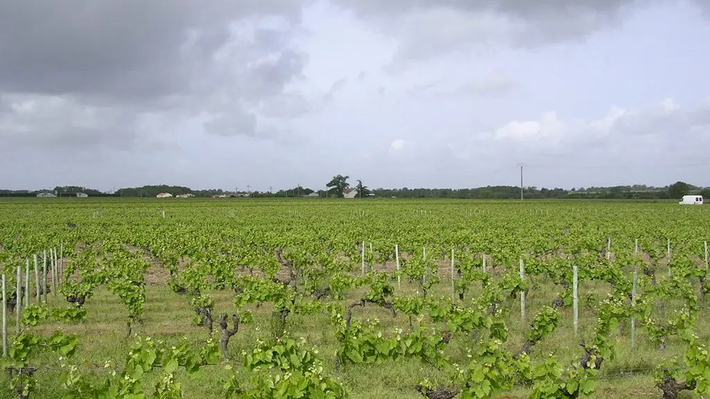 2015-circuitentremaineetgorgeat-remouillé-44-ITI (1)