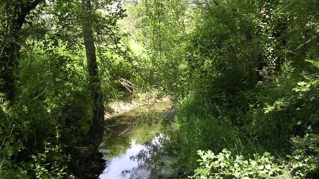 2015-circuitlesmaraichers-laplanche-44-ITI (2)