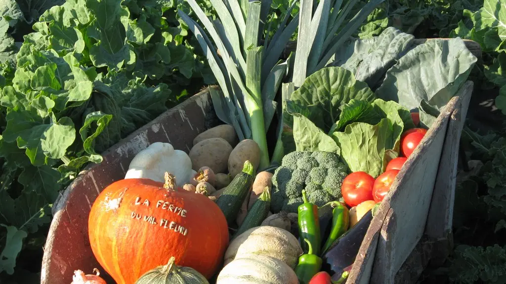 2015-degustations-terroir-ferme-val-fleuri-aigrefeuille-f-44-DEG-ruits et légumes locaux