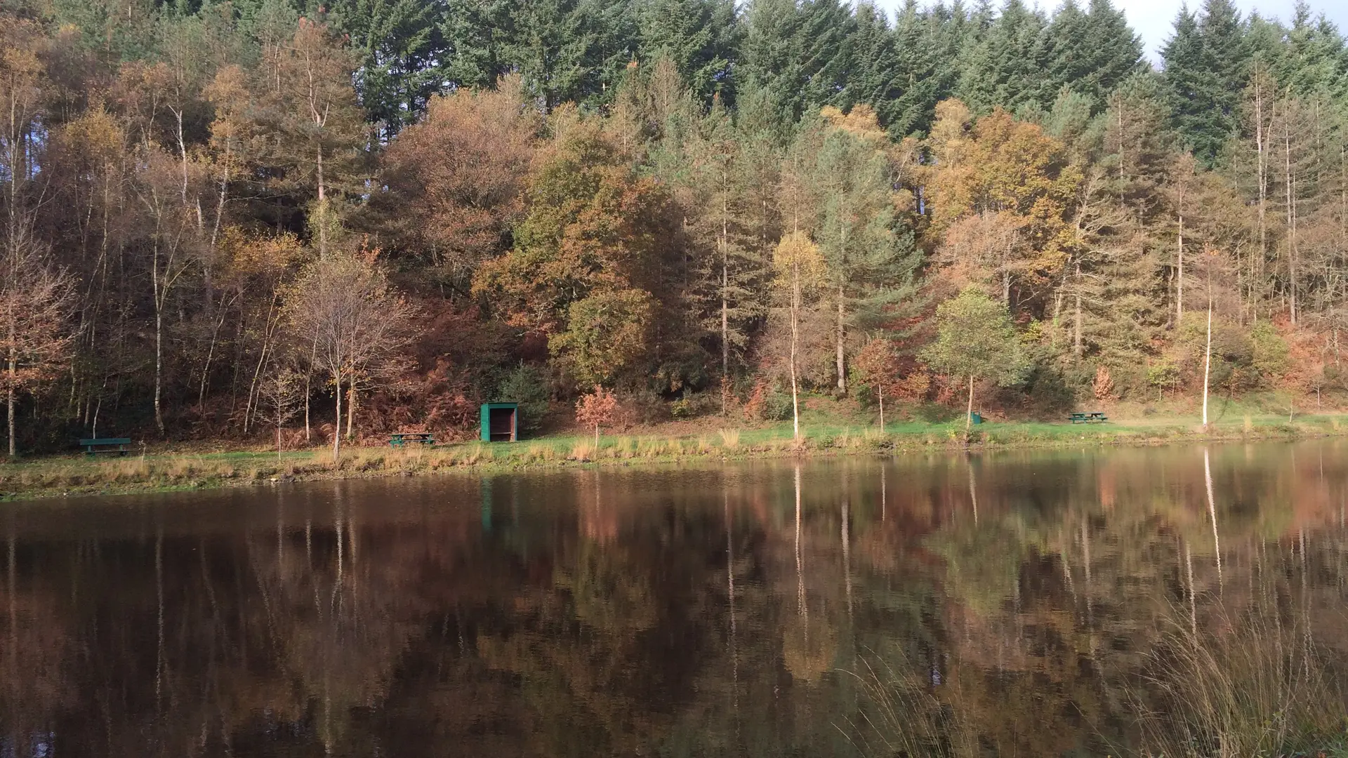 Etang-de-Bondi - Le Ham