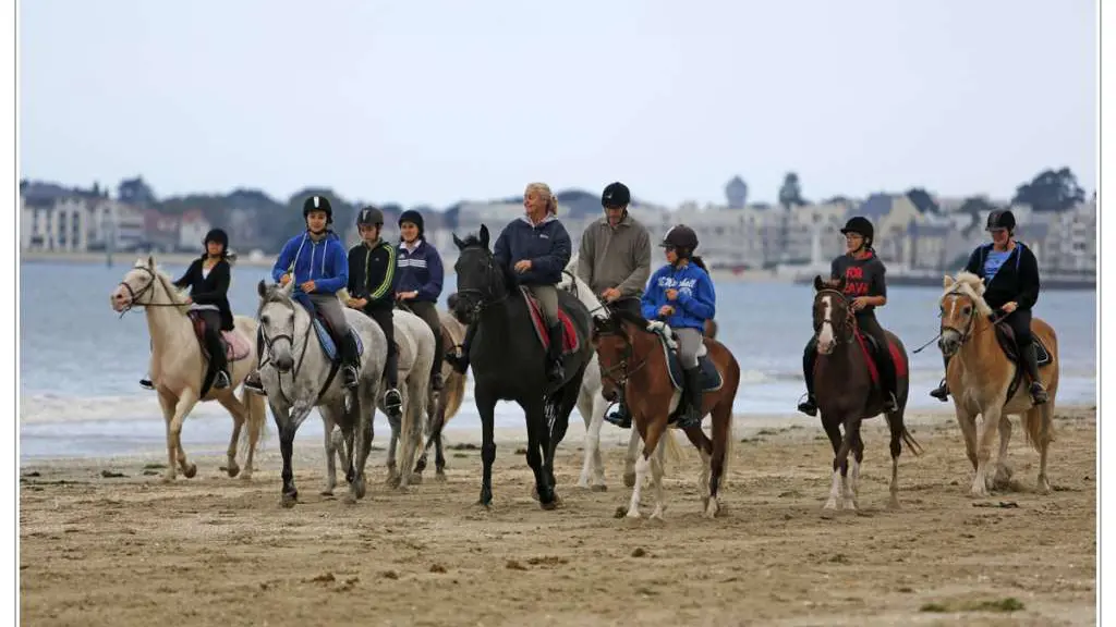 2016-Centre-Hippique-des-3-Provinces-Gétigné-44-LOI-1