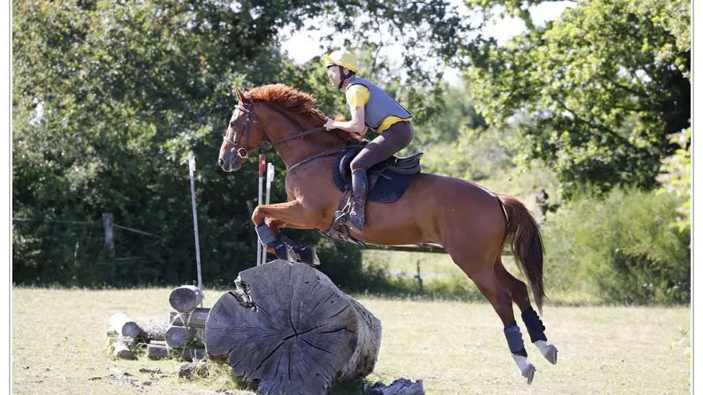 2016-Centre-Hippique-des-3-Provinces-Gétigné-44-LOI-3