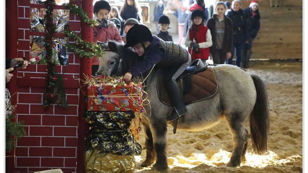 2016-Centre-Hippique-des-3-Provinces-Gétigné-44-LOI-4