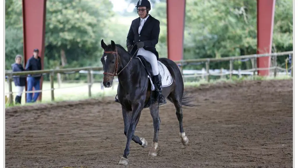 2016-Centre-Hippique-des-3-Provinces-Gétigné-44-LOI-5