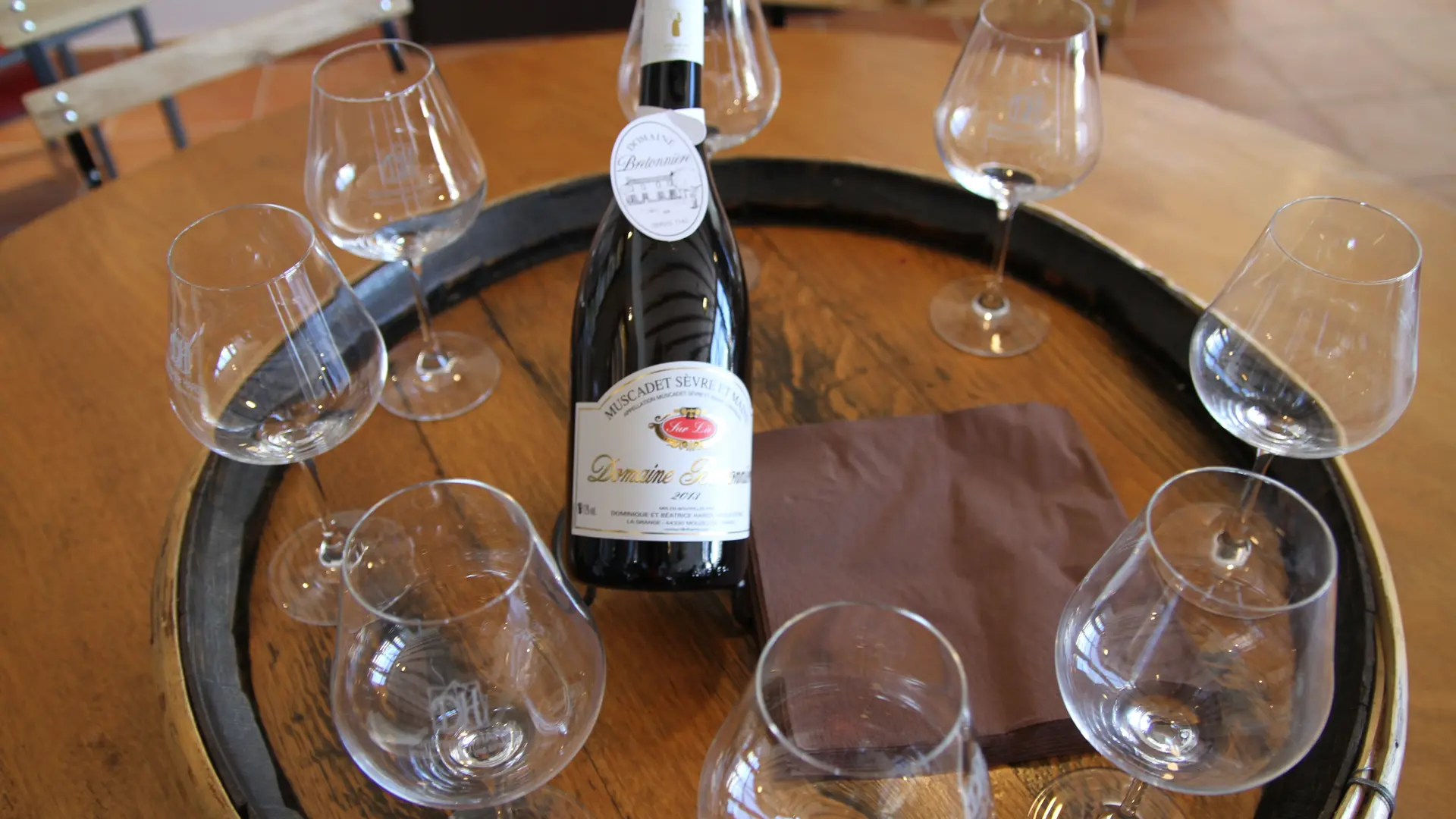 2016-cave-domaine-de-la-grange-mouzillon-44-levignobledenantes-tourisme-DEG (1)