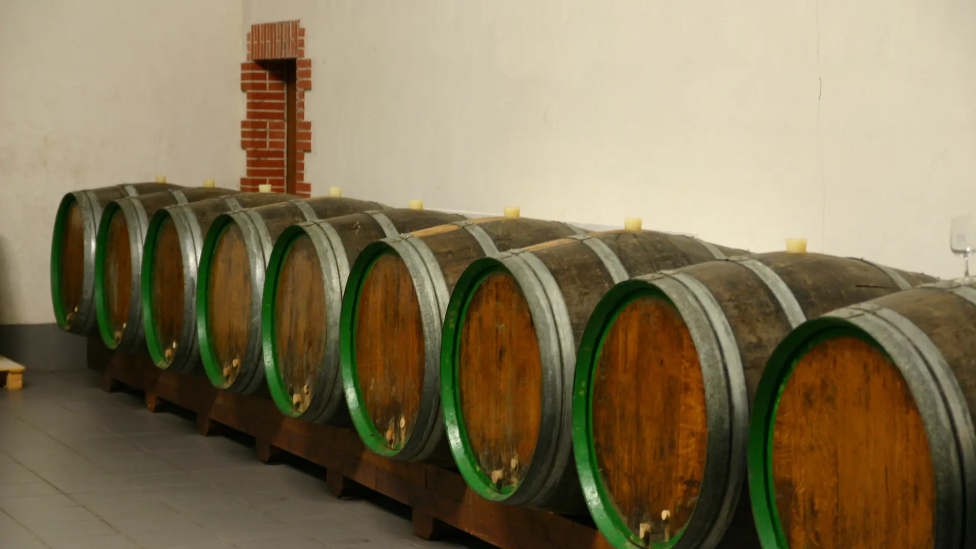 2016-cave-domaine-de-la-grange-mouzillon-44-levignobledenantes-tourisme-DEG (11)