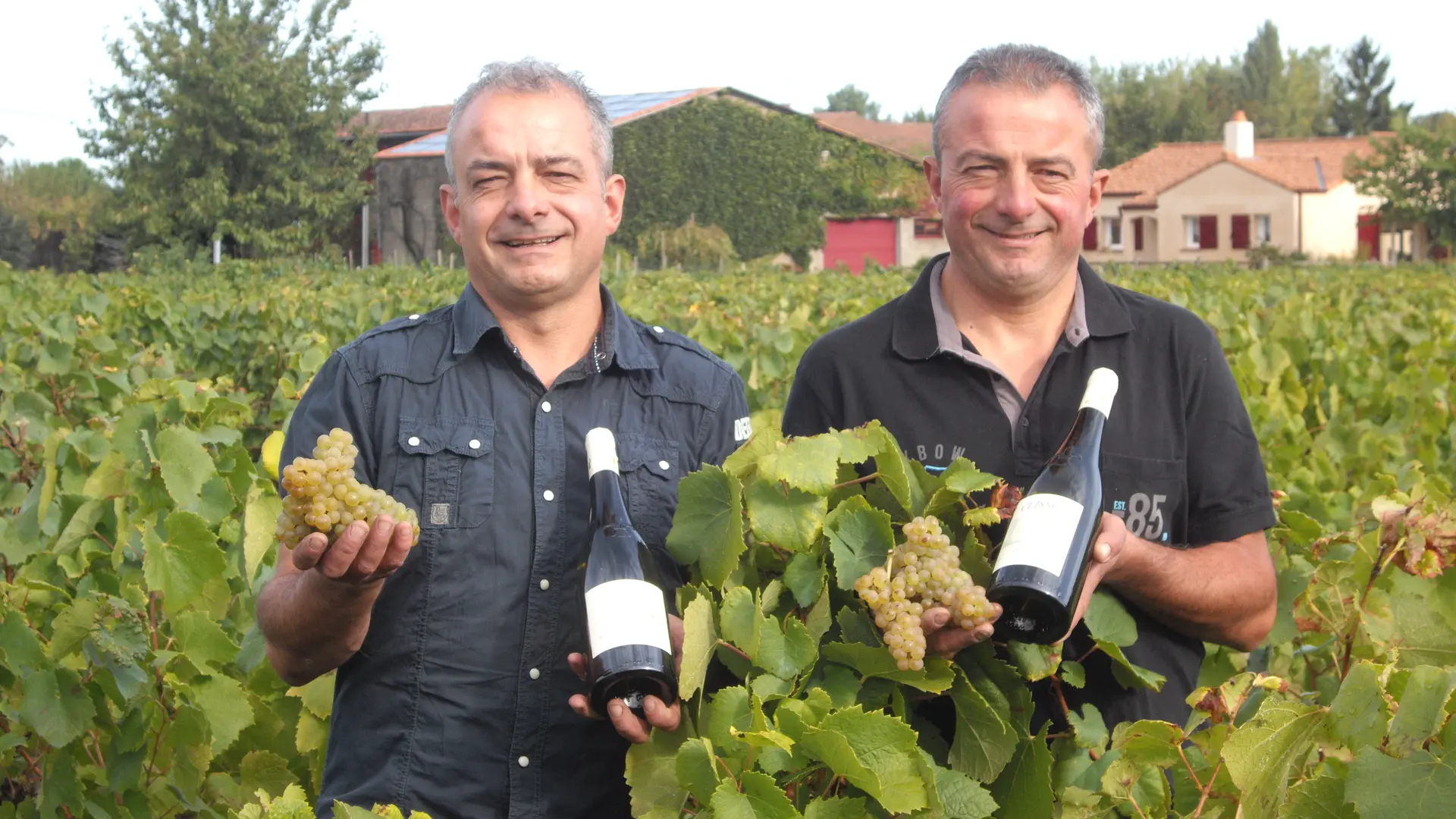 2016-cave-domaine-martin-luneau-panneau-gorges-44-levignobledenantes-tourisme-DEG (5)