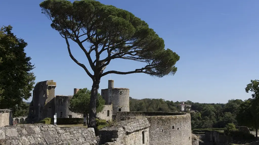 2016-chateau-clisson-44©Neveu-Derotrie-GPLA-levignobledenantes-tourisme-PCU (2)