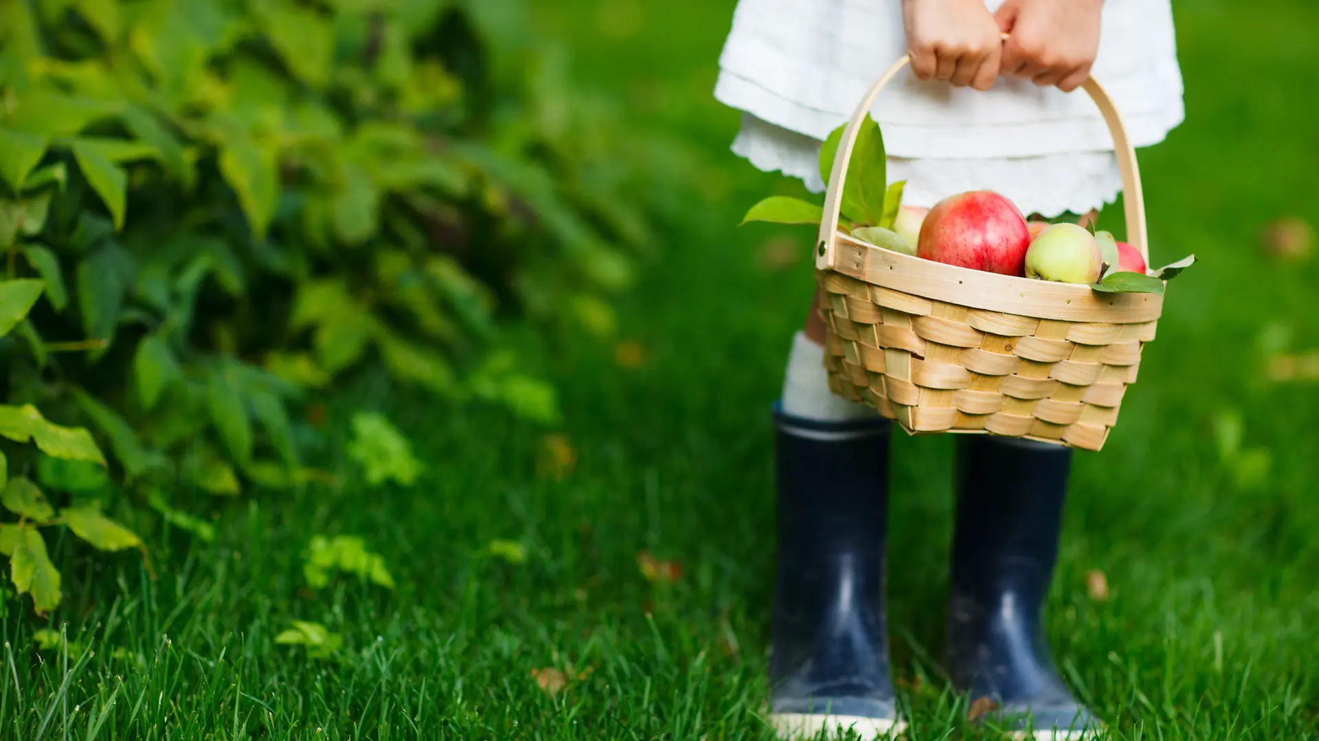 2016-ferme-chebuette-st-julien-concelles-44-levignobledenantes-tourisme-DEG (1)