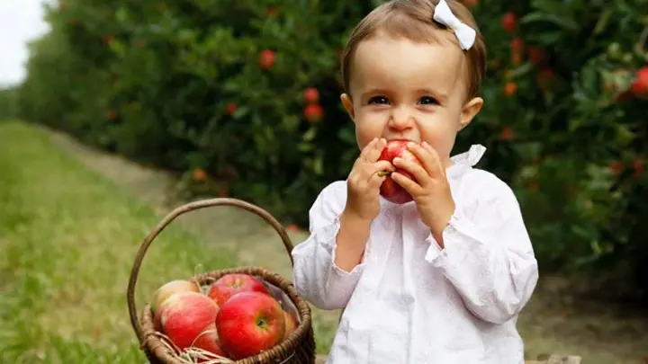 2016-ferme-chebuette-st-julien-concelles-44-levignobledenantes-tourisme-DEG (5)