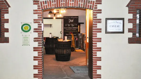 2017-domaine-mauperthuis-mouzillon-44-levignobledenantes-4