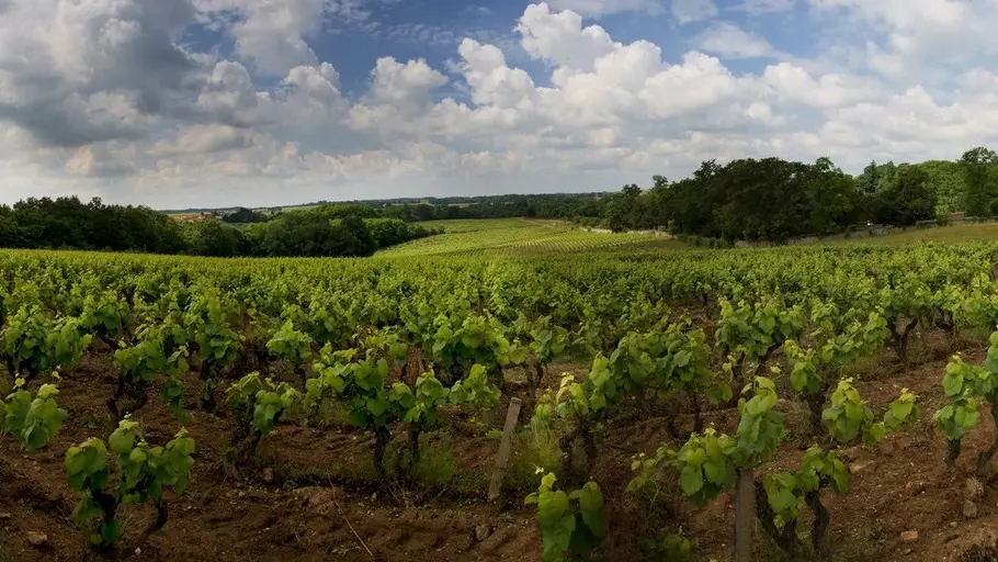 Parcelle du Fief du Breil