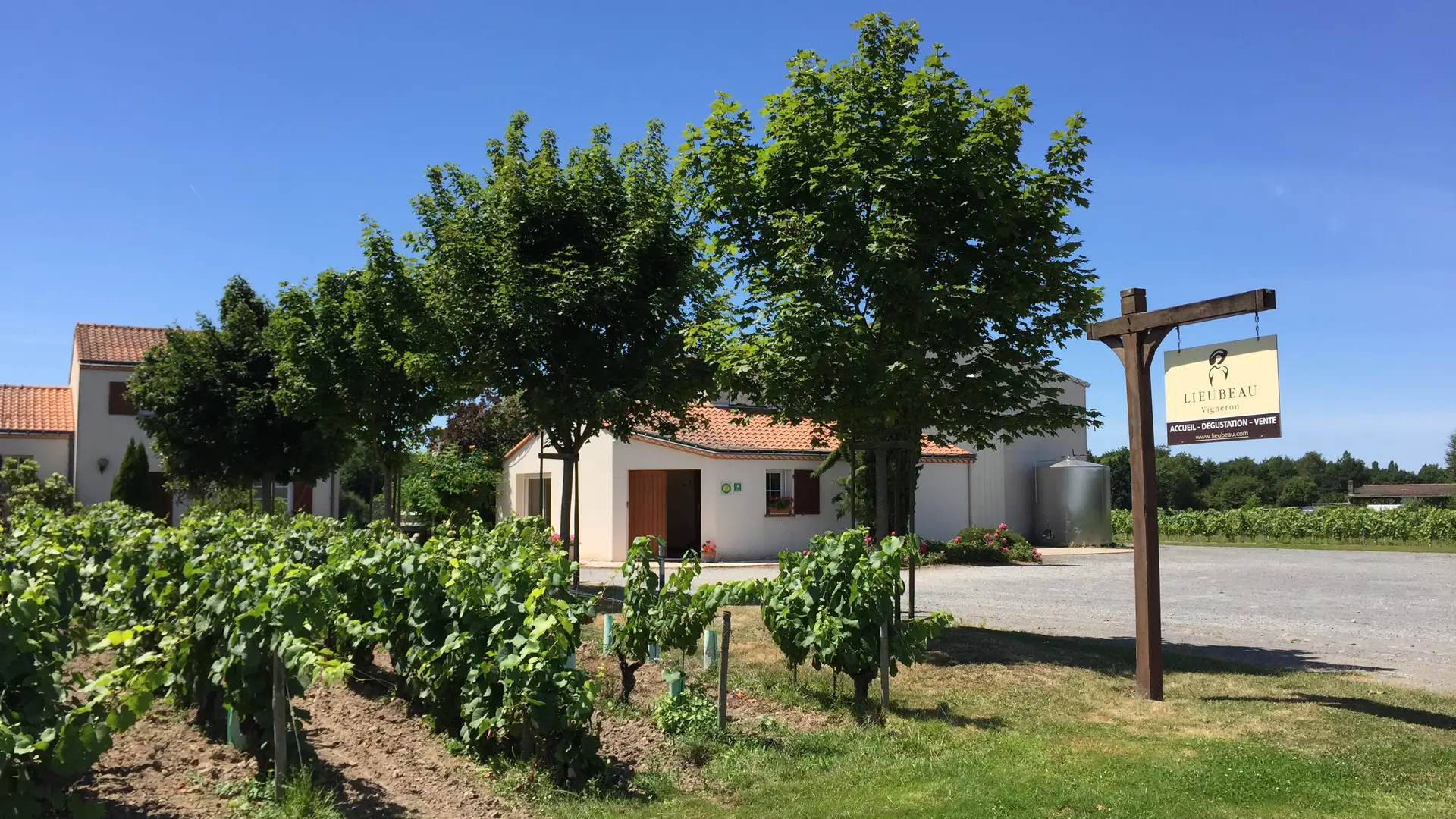 2019-FamilleLieubeau-caveau-chateauthebaud-44-levignobledenantes