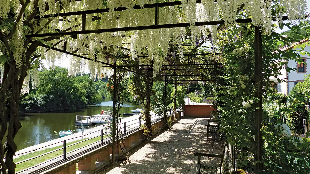 2019-LaHayeFouassiere-44-levignobledenantes-01