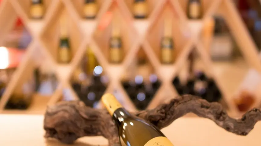 2019-oenotourisme-vignoble-marchais-caveau-thouaré-44 (5)