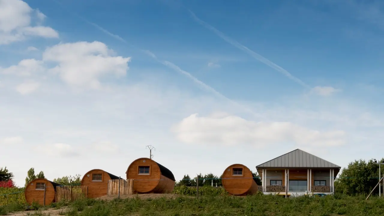 2019-oenotourisme-vignoble-marchais-le-chai-thouaré-44 (3)