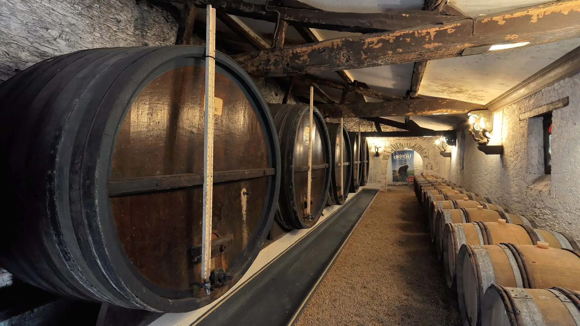 2019-cave-foudres-degustation-chateau-cassemichere-lachapelleheulin-44-levignobledenantes