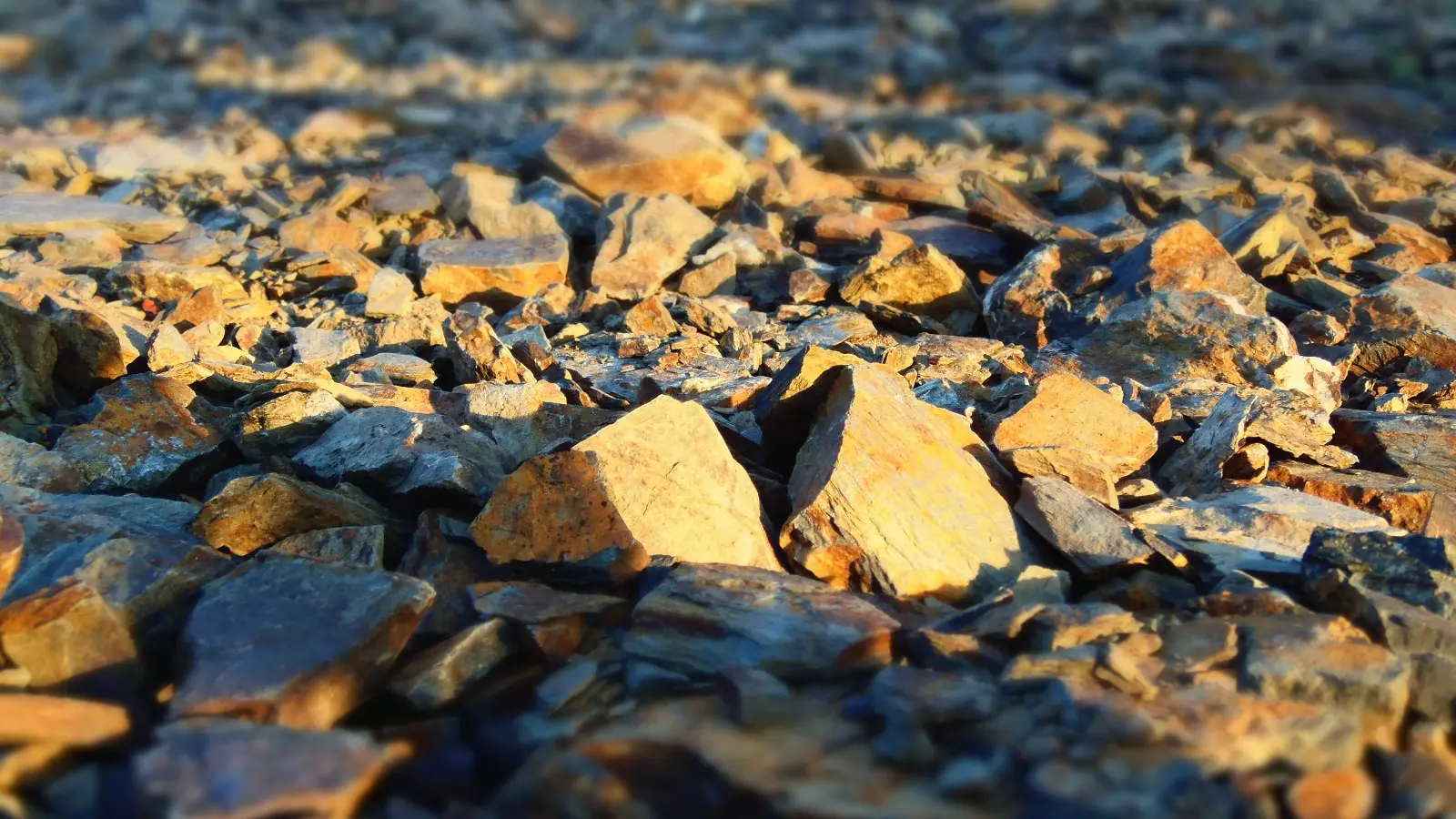 2019-vignerons-oenotourisme-freres-couillaud5-la-regripiere-levignobledenantes