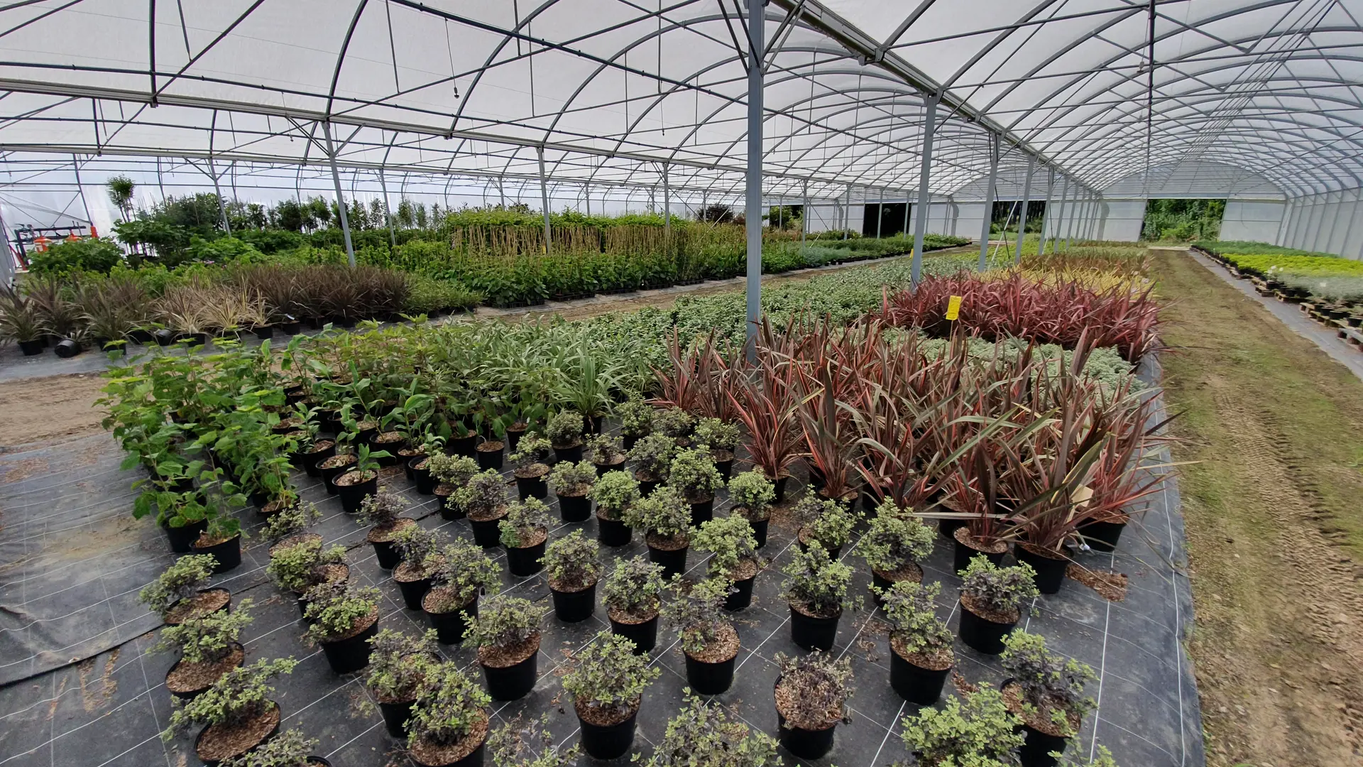 Production sous abri