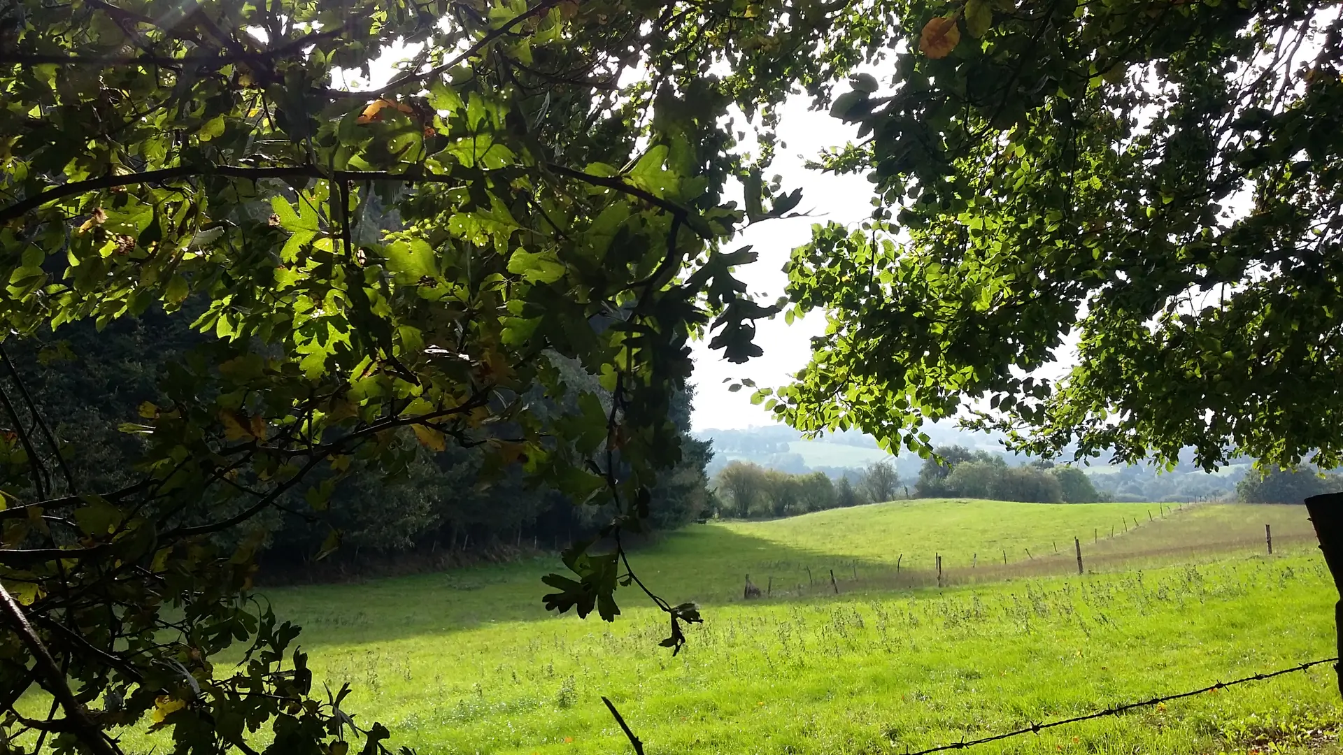Point de vue - vers Bois du Rochard