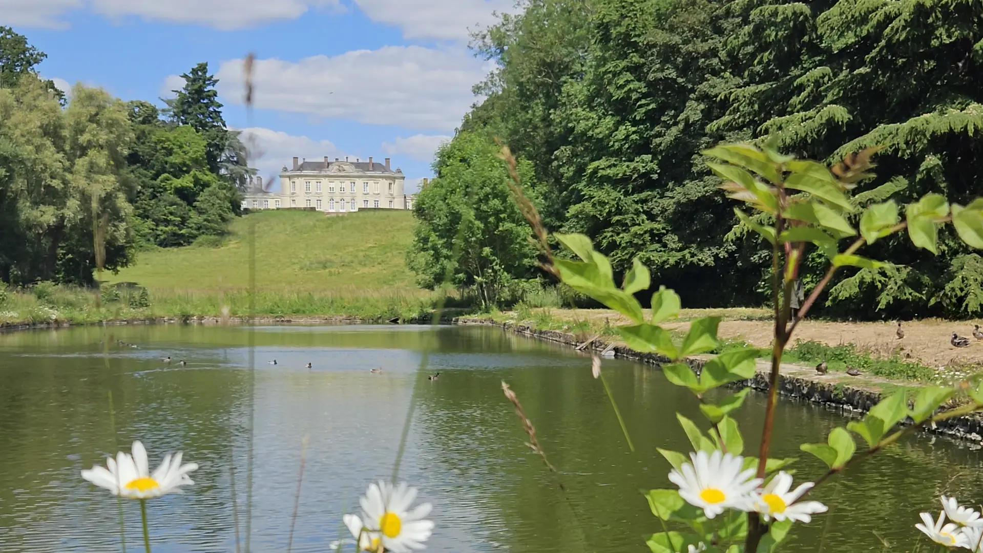 le grand bassin de Bel-Air