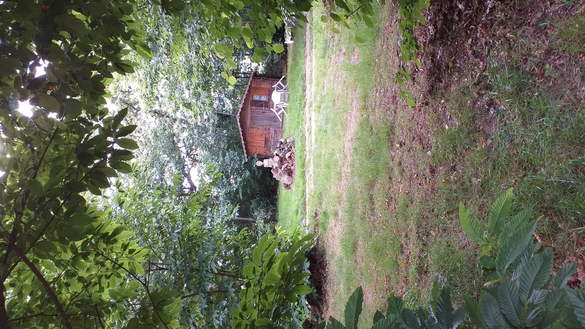 promenade en sous bois