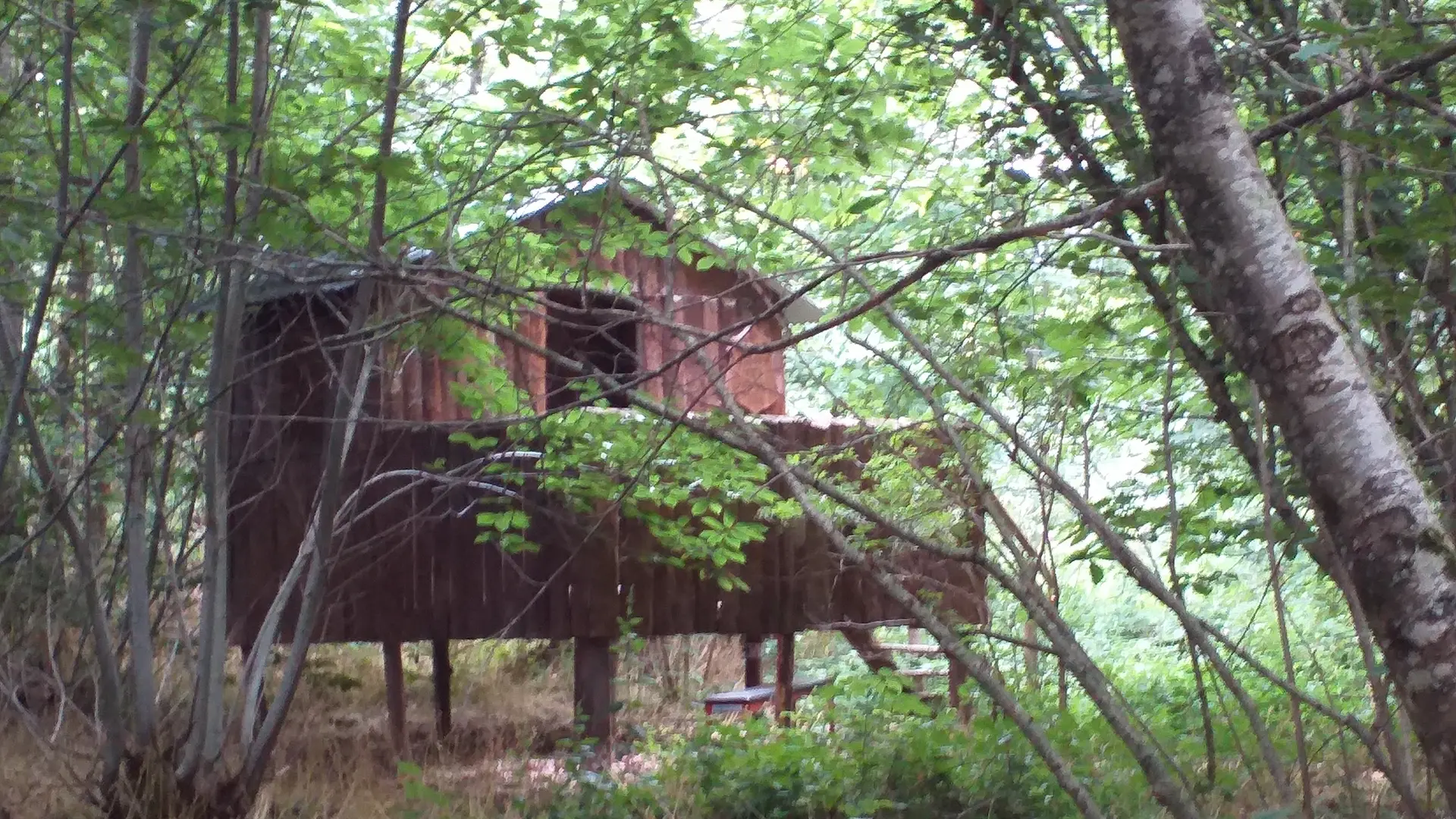 cabane des enfants en sous bois