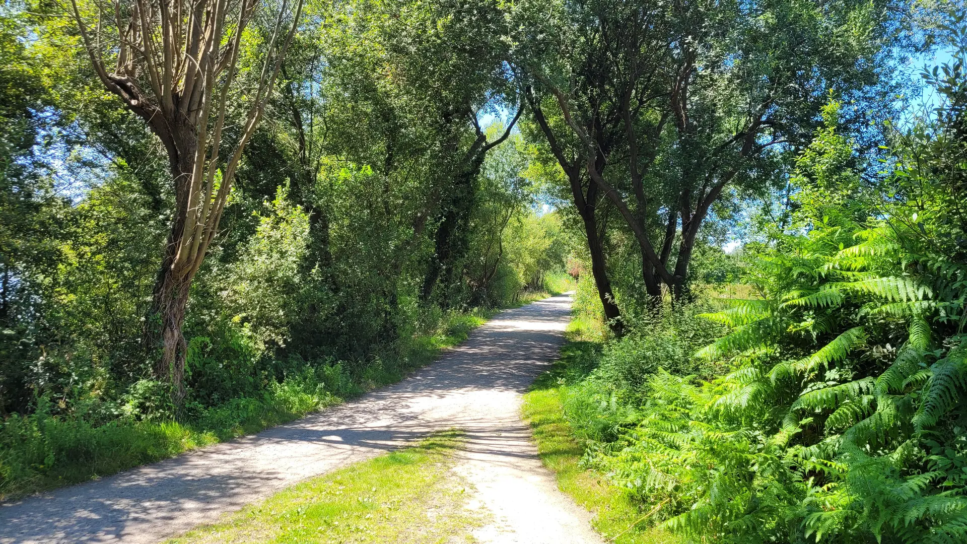 AIRE DE STATIONNEMENT BOIS JOALLAND