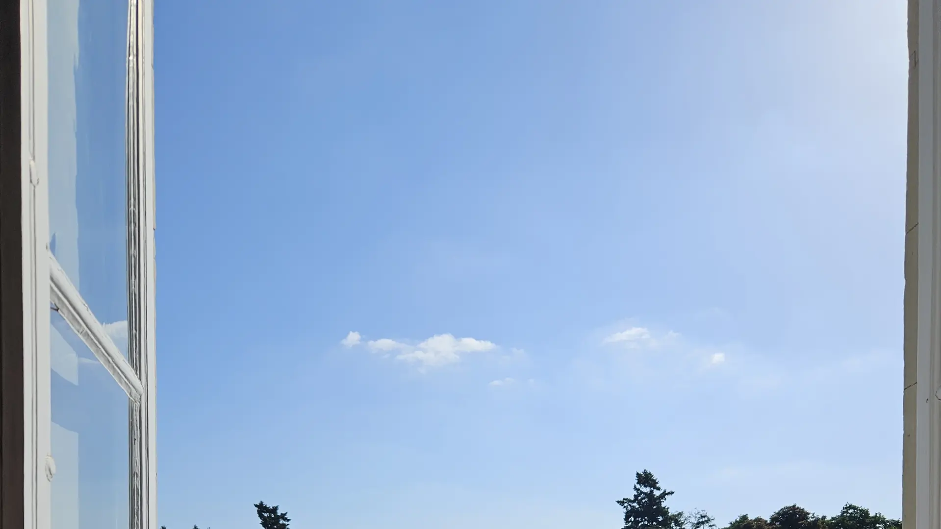 Les mariés rejoignent leurs invités dans le jardin à la française