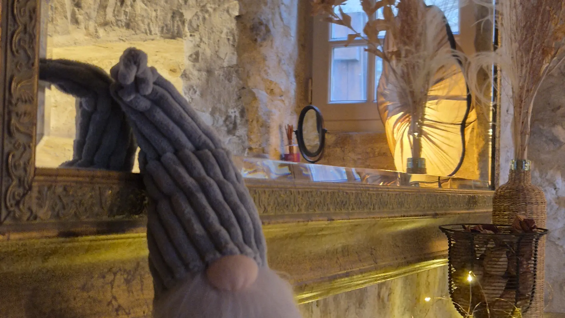 GITE DES REMPARTS LUTIN