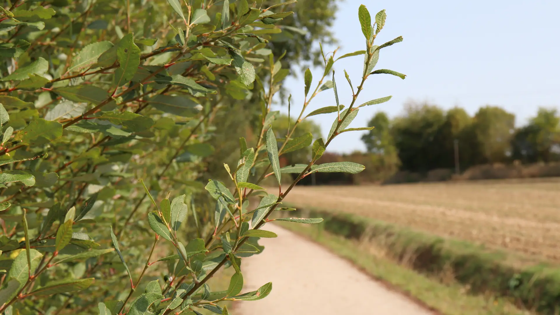 Voie verte Haute Sarthe Alpes Mancelles