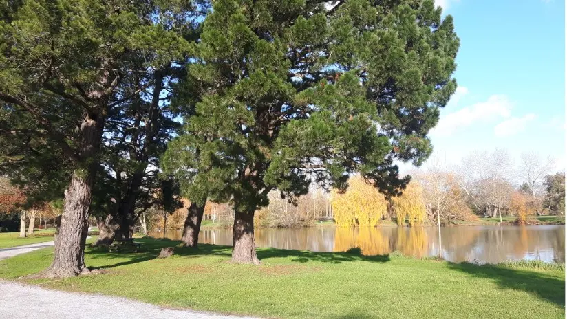 2020-circuit-plan-eau-chene-st-juline-de-concelles--2--2