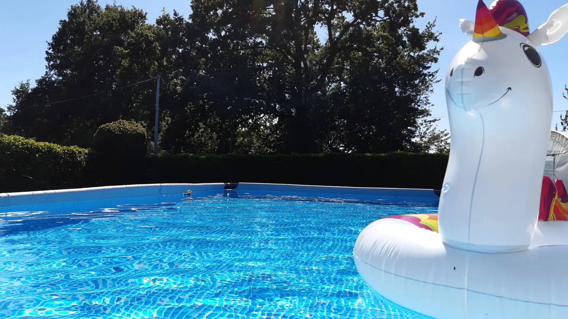 20200709_171018 - Copy