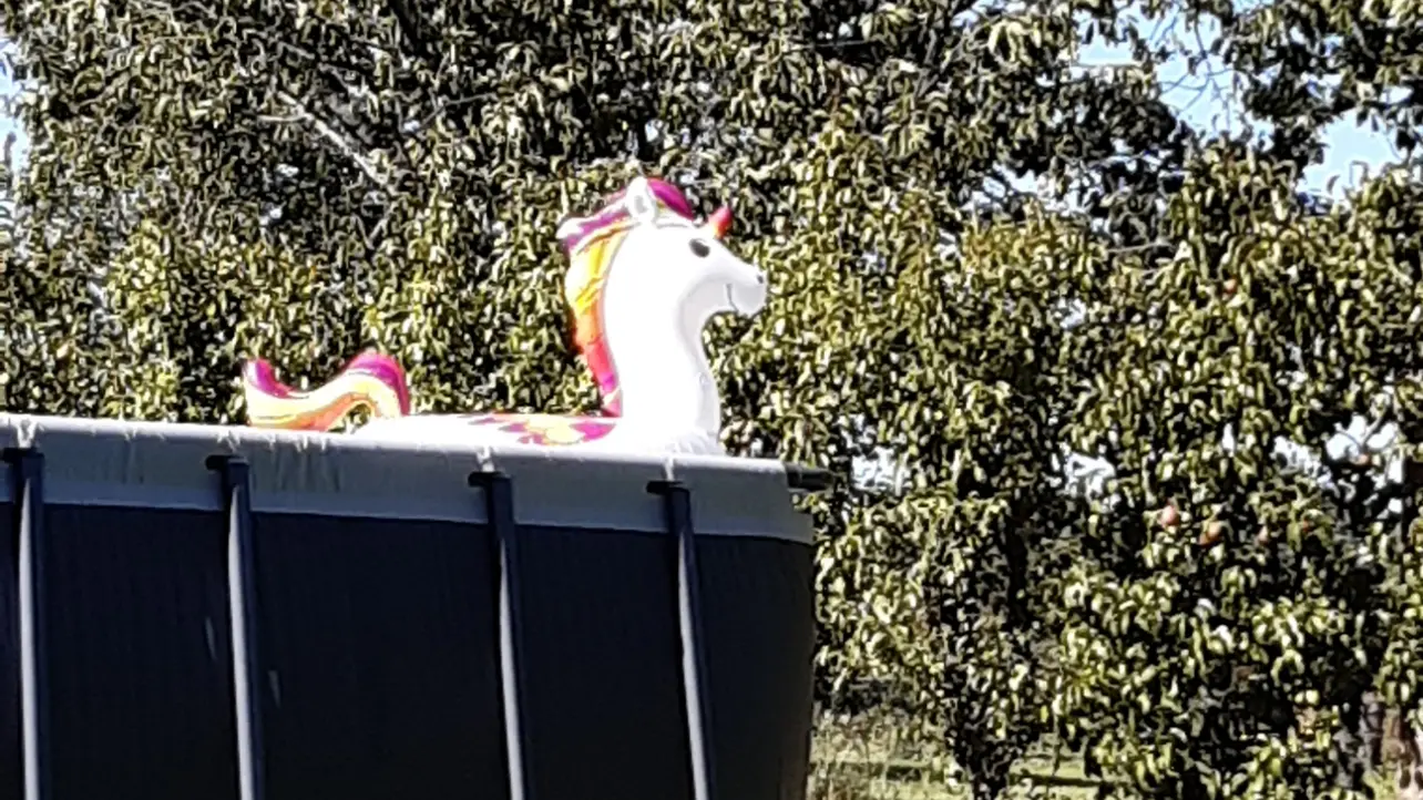 20200709_181452 - Copy