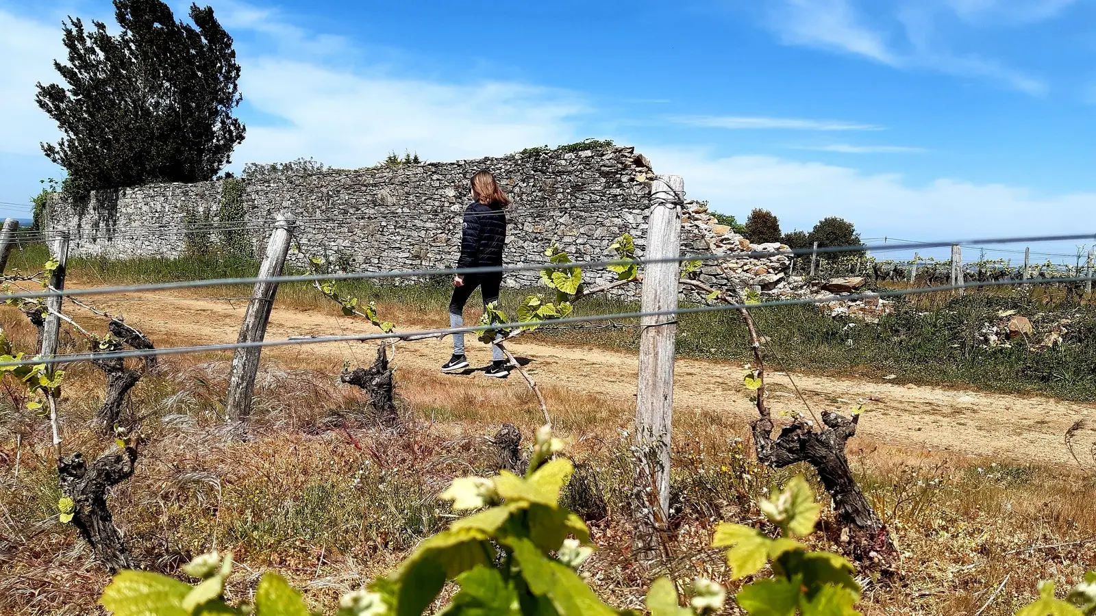 circuit entre moulins et chateaux la haye fouassiere