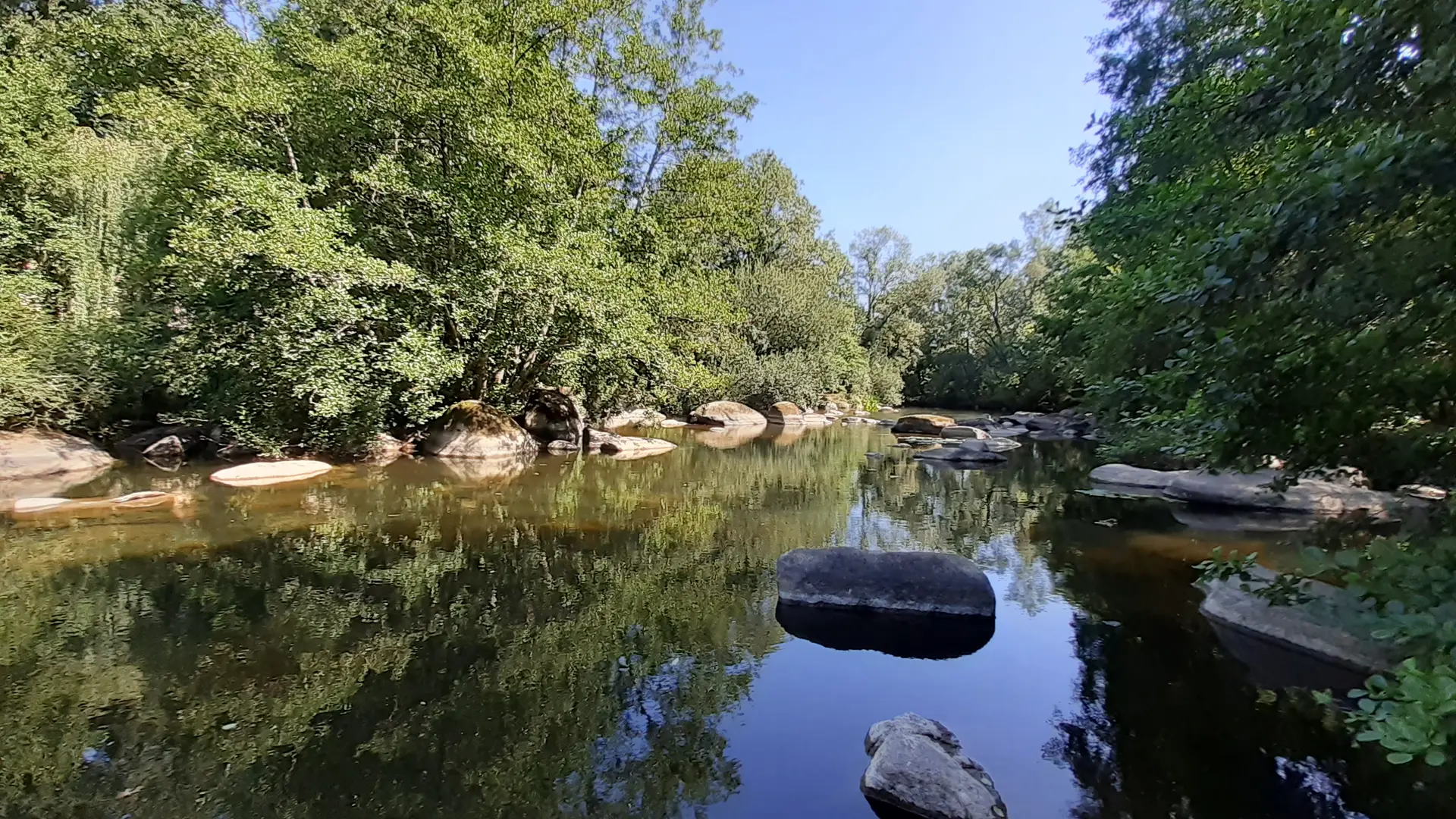 Sèvre-Nantaise-Gîtes Moulin Neuf-Gétigné-44-levignobledenante
