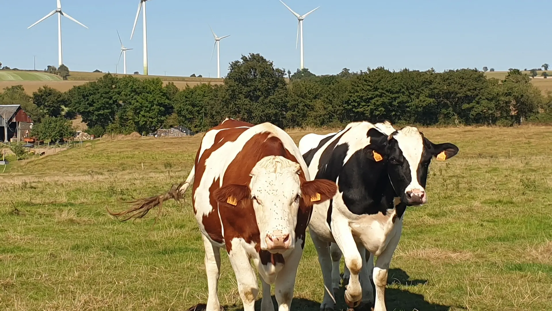 sur le sentier de la chapelle de Bon Secours